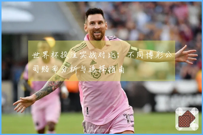 世界杯投注实战对比：不同博彩公司赔率分析与选择指南