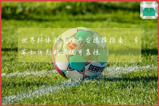 世界杯体彩竞猜平台选择指南：专家如何判断正规可靠性