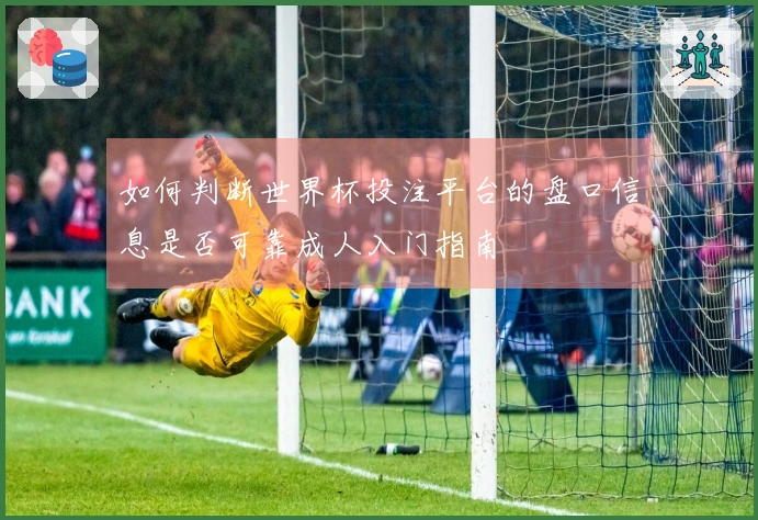 如何判断世界杯投注平台的盘口信息是否可靠成人入门指南
