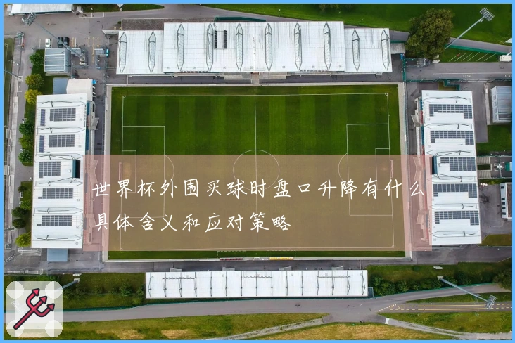 世界杯外围买球时盘口升降有什么具体含义和应对策略