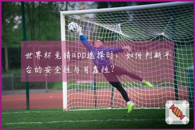 世界杯竞猜app选择时，如何判断平台的安全性与可靠性？