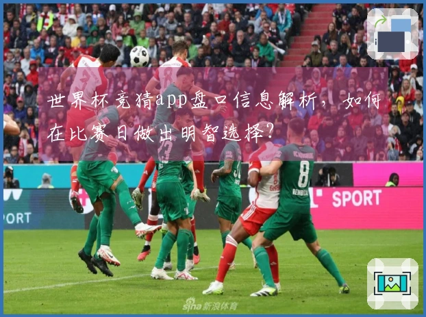 世界杯竞猜app盘口信息解析，如何在比赛日做出明智选择？