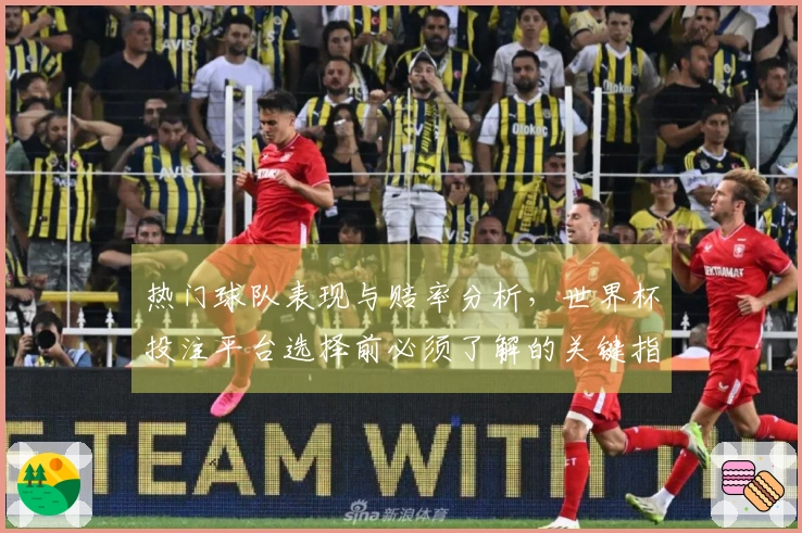 热门球队表现与赔率分析，世界杯投注平台选择前必须了解的关键指标