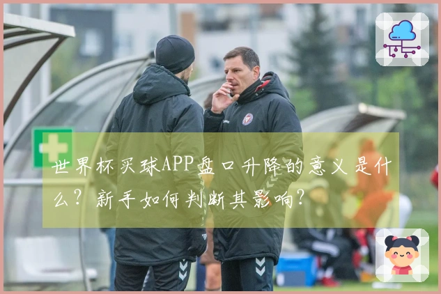 世界杯买球APP盘口升降的意义是什么？新手如何判断其影响？