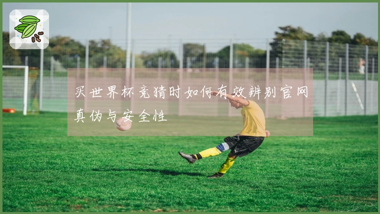 买世界杯竞猜时如何有效辨别官网真伪与安全性