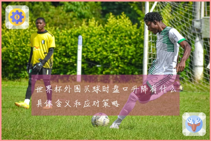 世界杯外围买球时盘口升降有什么具体含义和应对策略