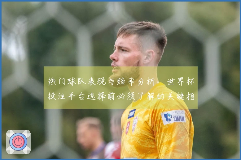 热门球队表现与赔率分析，世界杯投注平台选择前必须了解的关键指标