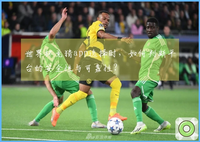 世界杯竞猜app选择时，如何判断平台的安全性与可靠性？